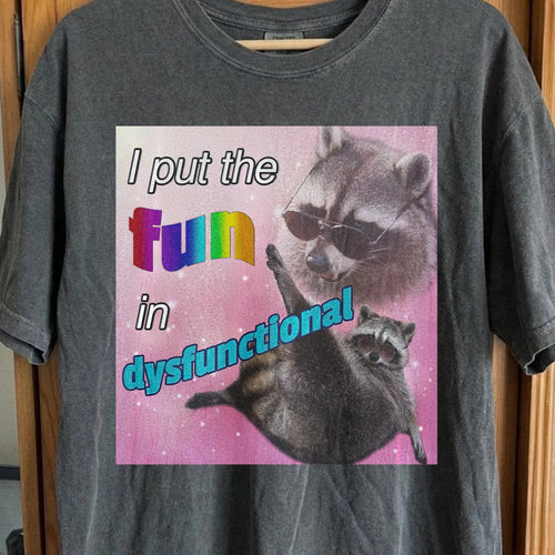 I Put the Fun in Dysfunctional Raccoon T-Shirt, funny meme tee gift