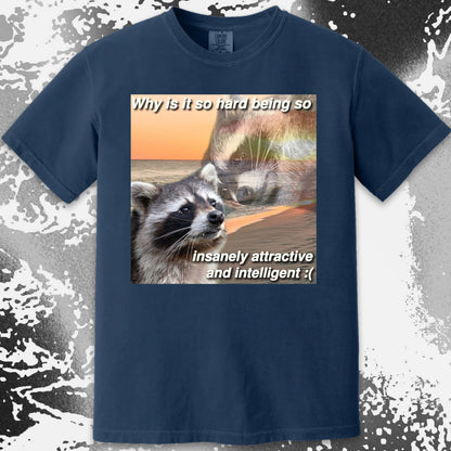 Insanely Attractive and Intelligent Raccoon T-Shirt, funny meme tee gift (view 11)