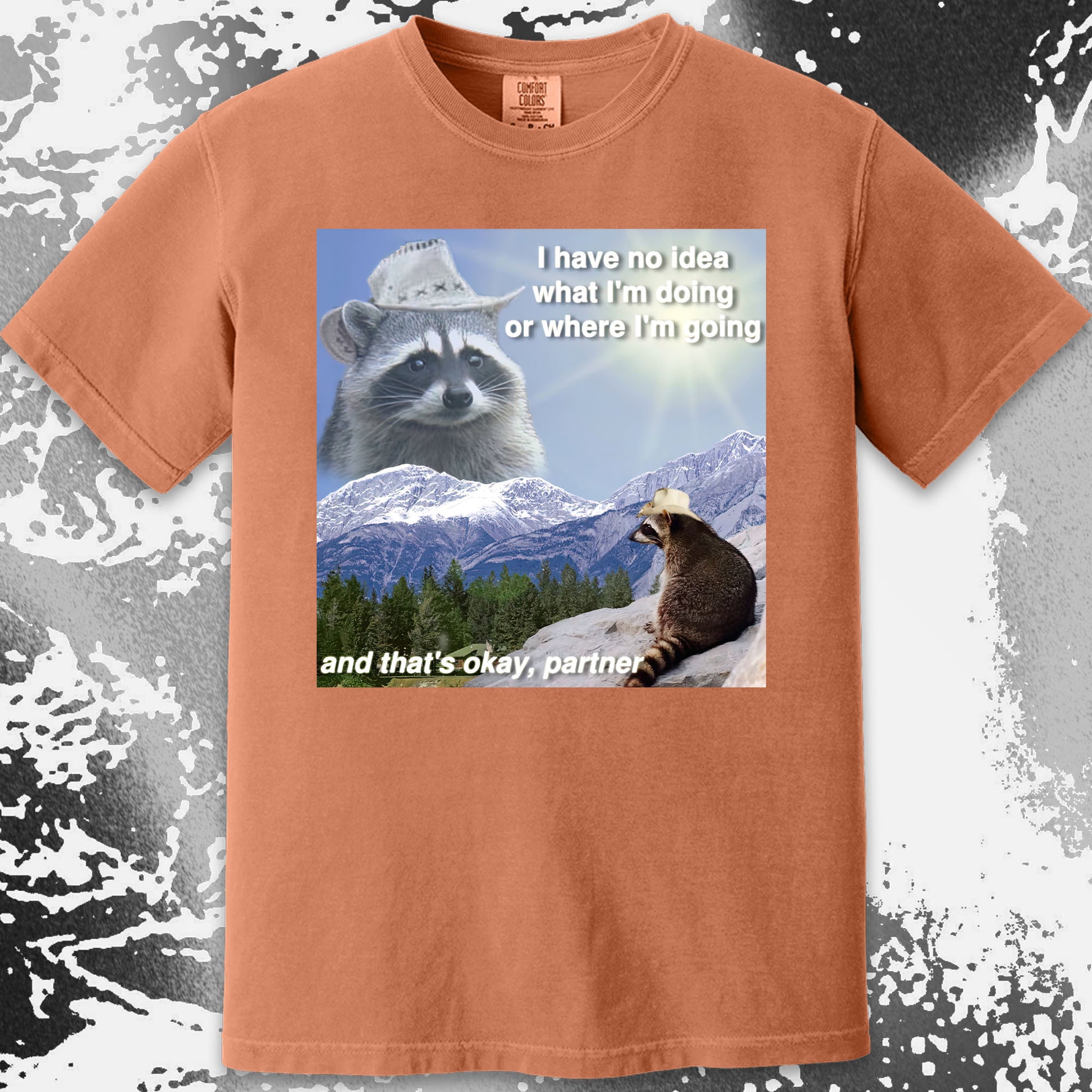 I Have No Idea What I'm Doing Raccoon T-Shirt, funny meme tee gift (view 11)