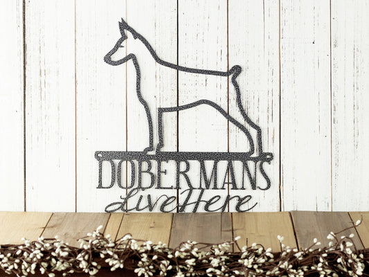 Doberman Metal Signs Beware Of Dog Sign Doberman Pinscher Dog Lover Gift Outdoor Signs Dog Sign Dog Decor - 8 inches - metal sign