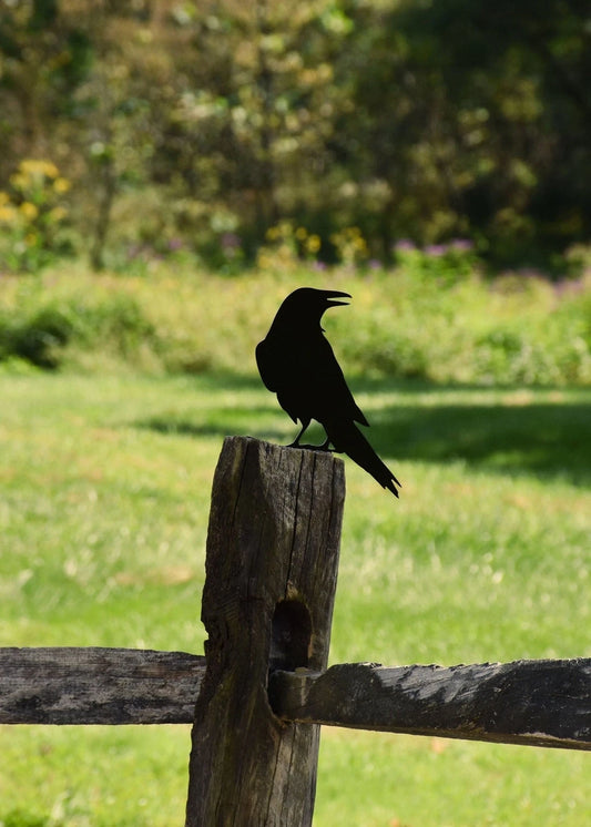 Raven Crow Metal Bird Yard Garden Art - Back View - free Shipping - Great Gift - 8 inches - metal sign