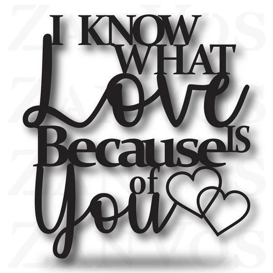 I Know What Love Is Customized Metal Signs, Custom Metal Sign, Custom Signs, Metal Sign, Metal Laser Cut Metal Signs Custom Gift Ideas - 8 inches - metal sign
