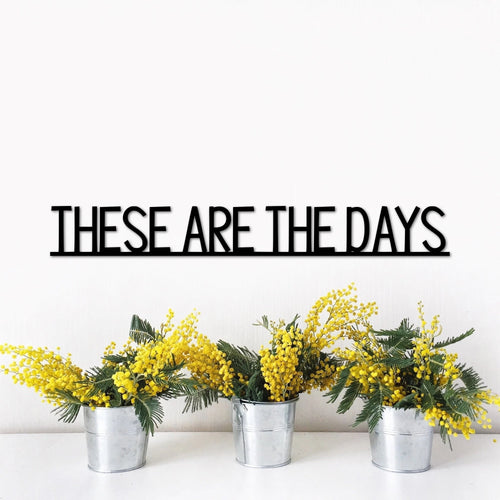 These Are The Days Sign Metal Wall Quote Inspirational Signs Living Room Sign Custom Sign Home Sign
