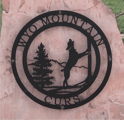 Treeing Coonhound Dog Sign Cut Metal Sign Metal House Sign
