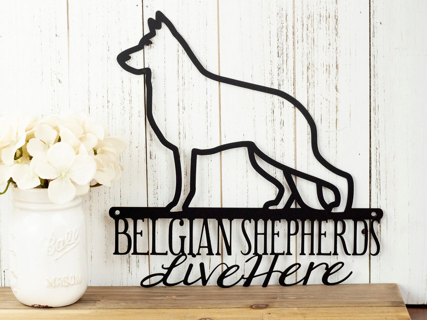 Belgian Shepherds Live Here Metal Sign Black Metal Sign Dog Sign Door Sign Wall Hanging Wall Plaque