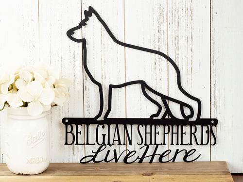 Belgian Shepherds Live Here Metal Sign Black Metal Sign Dog Sign Door Sign Wall Hanging Wall Plaque