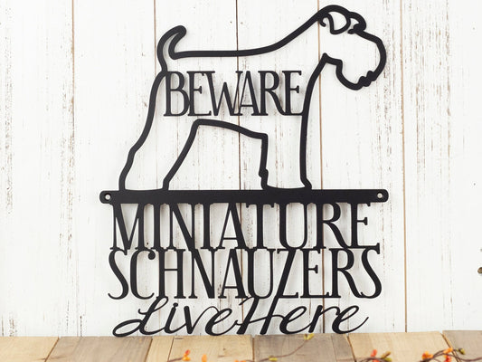 Miniature Schnauzers Live Here Metal Sign Black Full Tail Miniature Schnauzer Schnauzers Beware Dog Sign - 8 inches - metal sign
