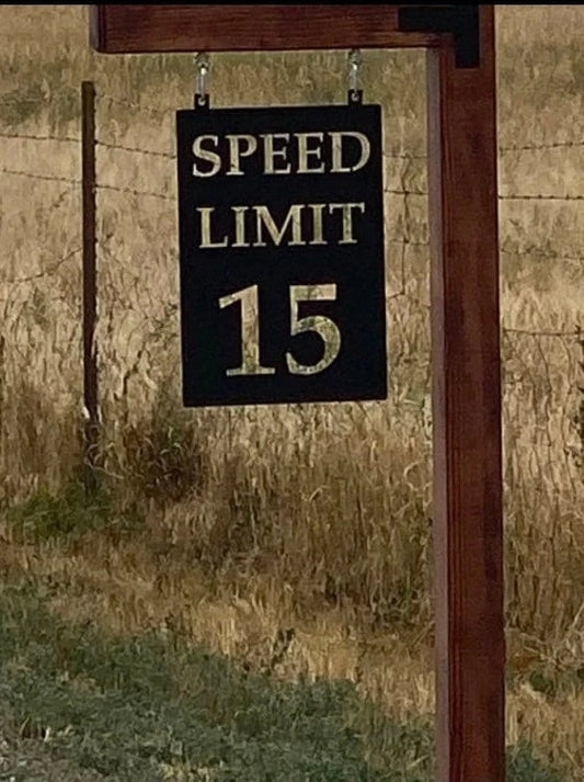 Metal Speed Limit Sign Laser Cut Customizable Sign With Powder Coat Finish Metal House Sign - 8 inches - metal sign