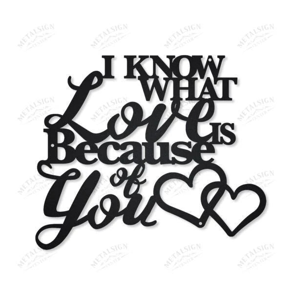 I Know What Love Is Decor Cut Metal Sign Metal House Sign