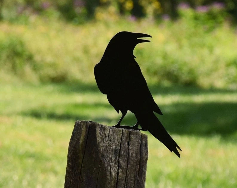 Raven Crow Metal Bird Yard Garden Art - Back View - free Shipping - Great Gift