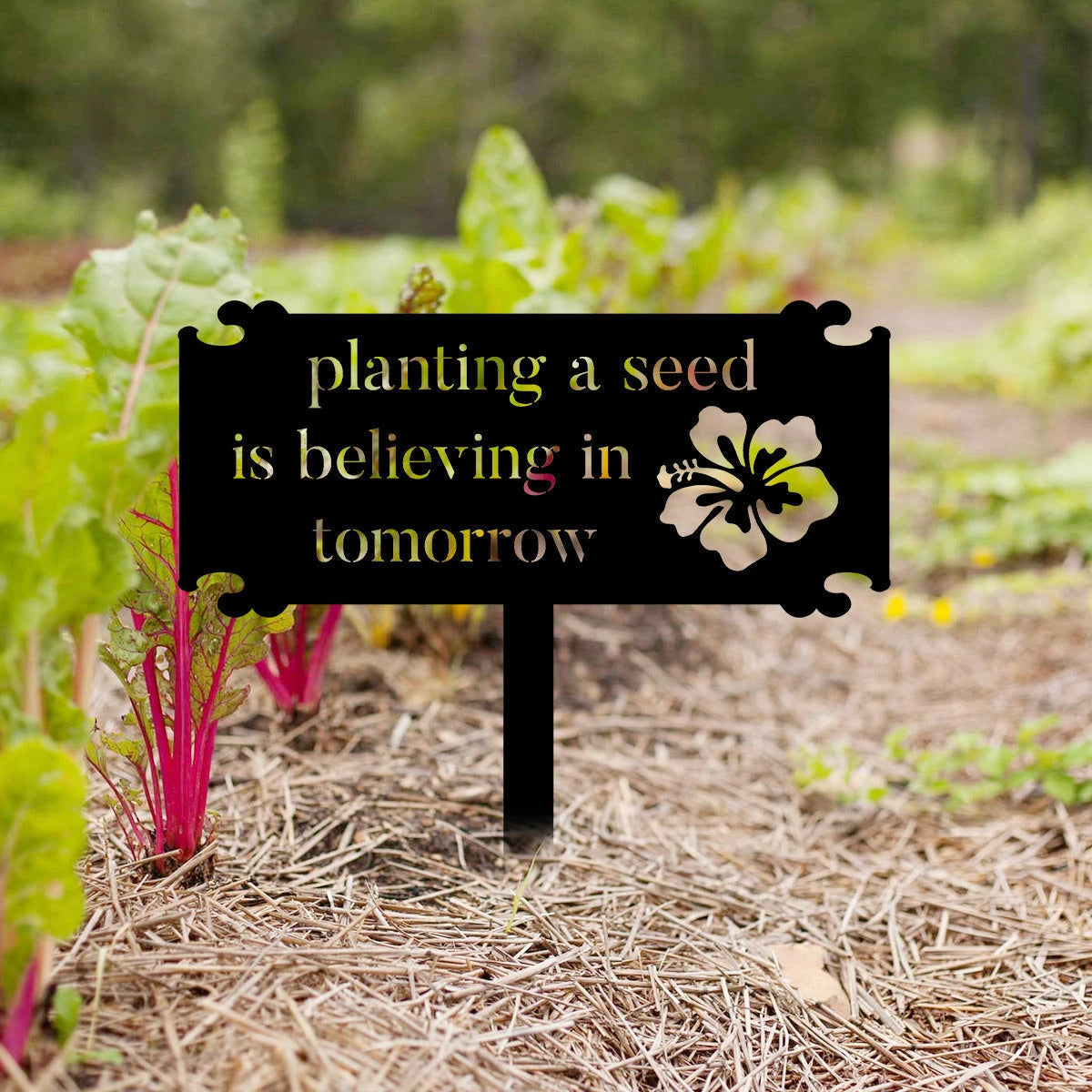 Planting A Seed Is Believing In Tomorrow Metal Garden Sign, Metal Laser Cut Metal Signs Custom Gift Ideas