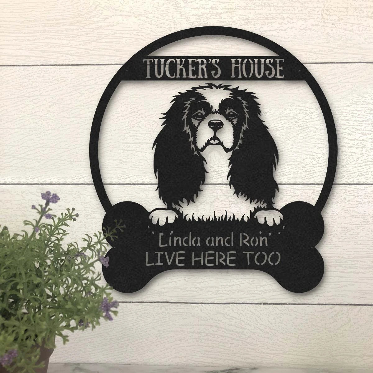 Cavalier Dog Lovers Funny Personalized Metal House Sign Laser Cut Metal Signs Custom Gift Ideas