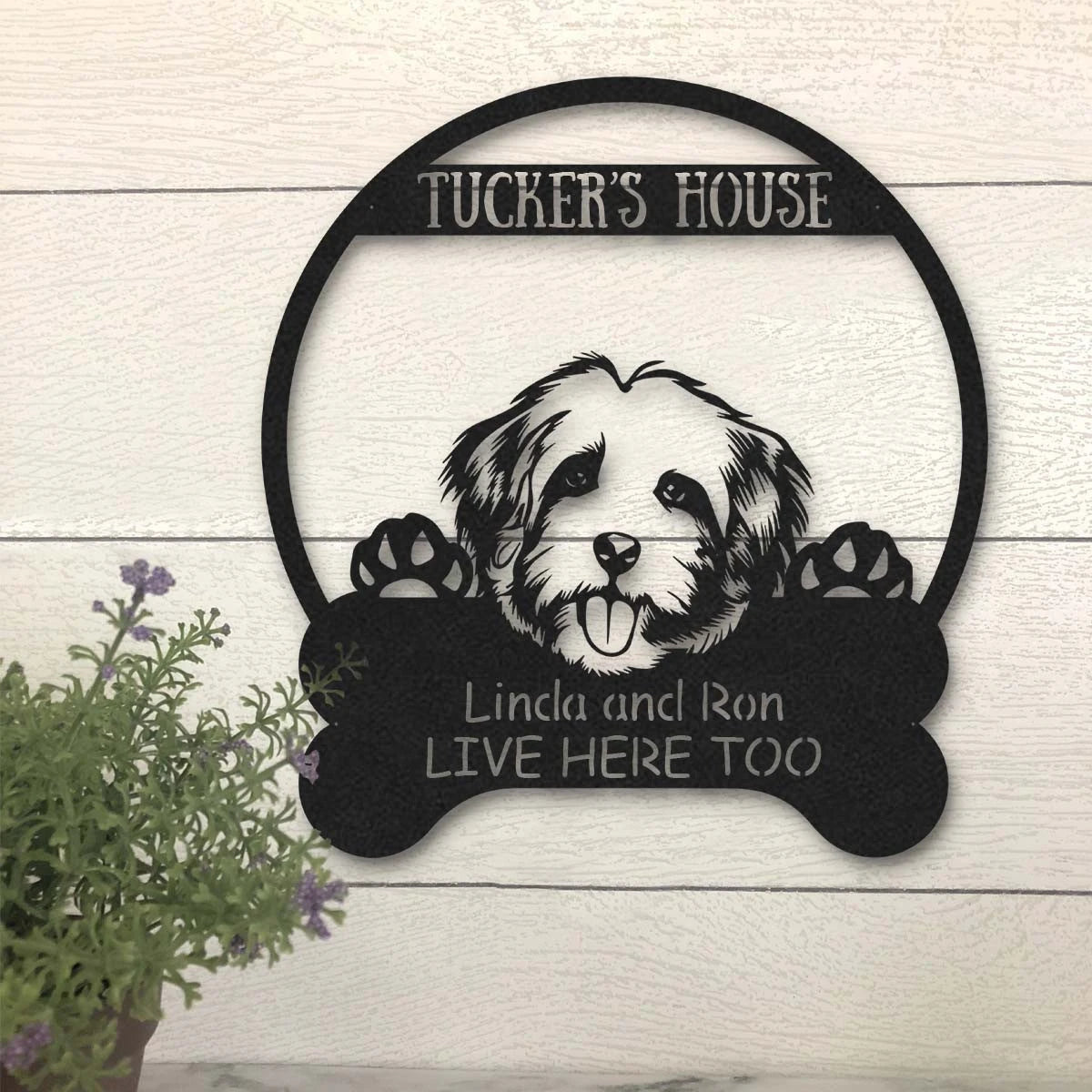 Cavachon Dog Lovers Funny Personalized Metal House Sign Laser Cut Metal Signs Custom Gift Ideas
