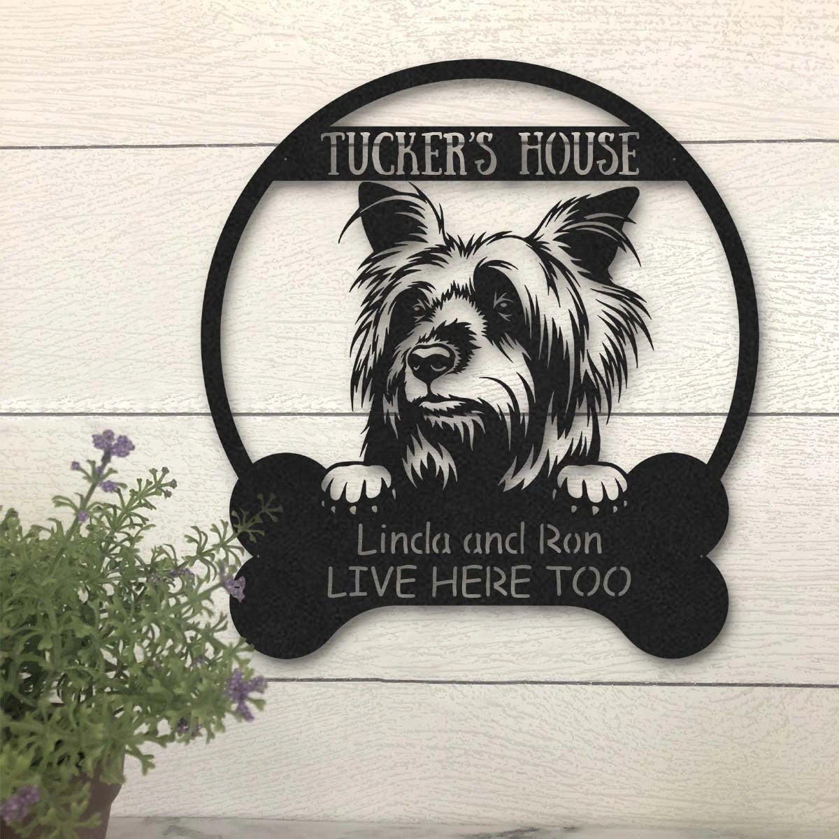 Australian Silky Terrier Dog Lovers Funny Personalized Metal House Sign Laser Cut Metal Signs Custom Gift Ideas