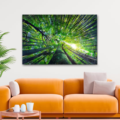 Light Through Bamboo Forest Canvas Wall Art