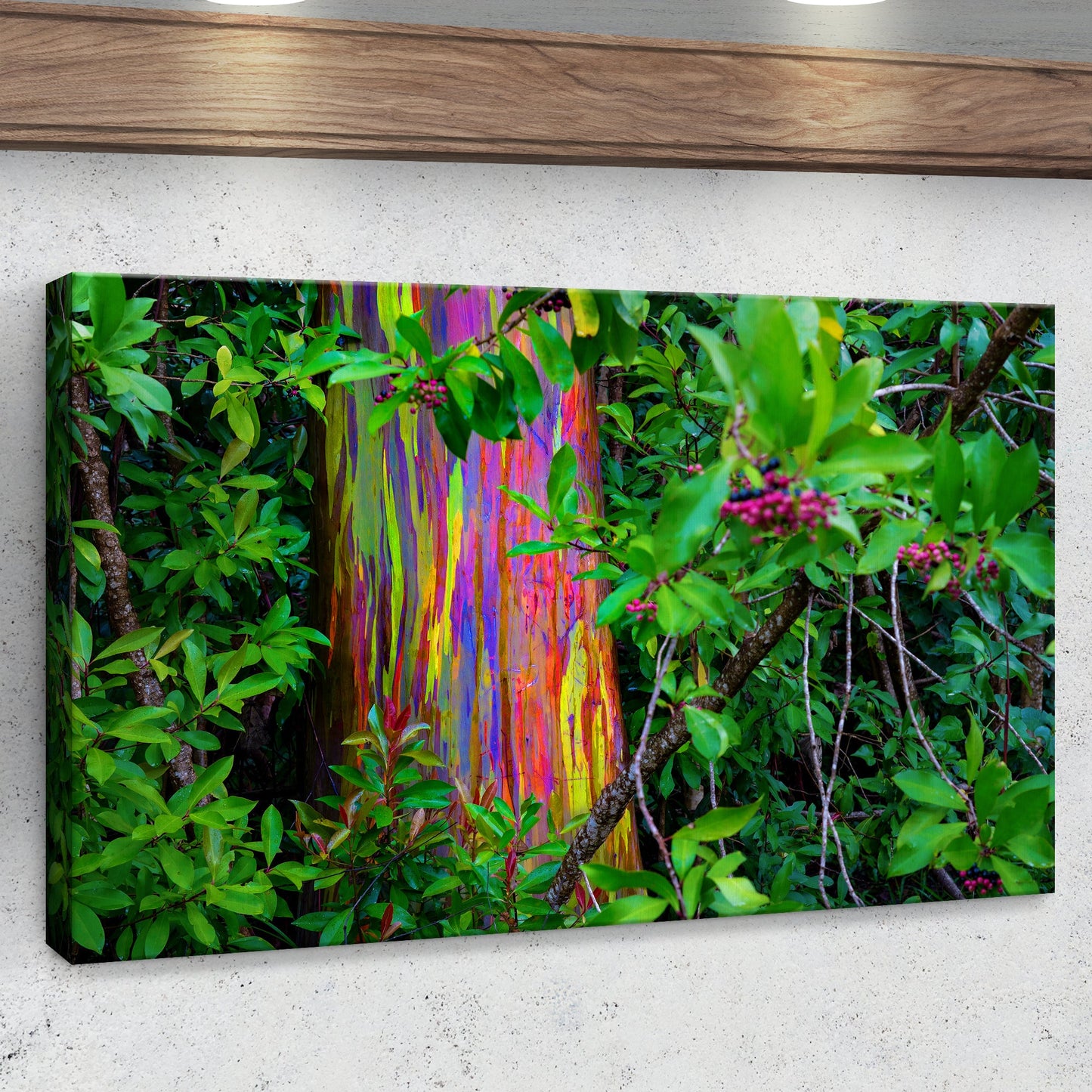 Rainbow Eucalyptus Tree Canvas Wall Art II