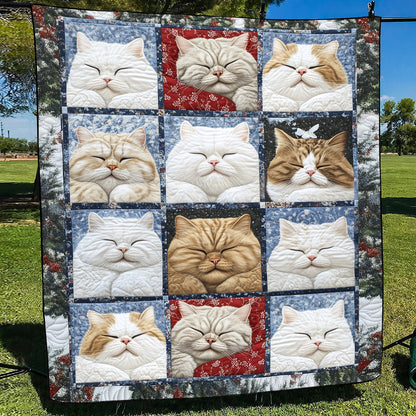 Twin (60'' x 70'')