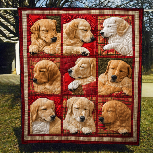 Golden Dreams Quilted Blanket - Throw (55" x 60")