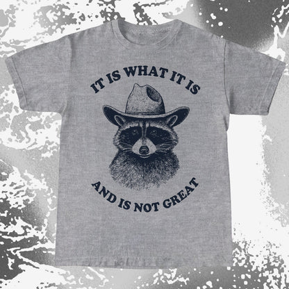 It Is What It Is (And It's Not Great) Raccoon Cowboy Shirt, funny meme tee gift (view 6)