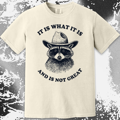 It Is What It Is (And It's Not Great) Raccoon Cowboy Shirt, funny meme tee gift (view 12)