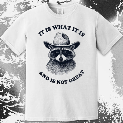 It Is What It Is (And It's Not Great) Raccoon Cowboy Shirt, funny meme tee gift (view 13)