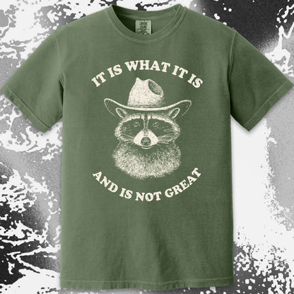 It Is What It Is (And It's Not Great) Raccoon Cowboy Shirt, funny meme tee gift (view 16)