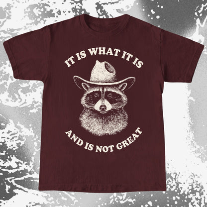 It Is What It Is (And It's Not Great) Raccoon Cowboy Shirt, funny meme tee gift (view 9)