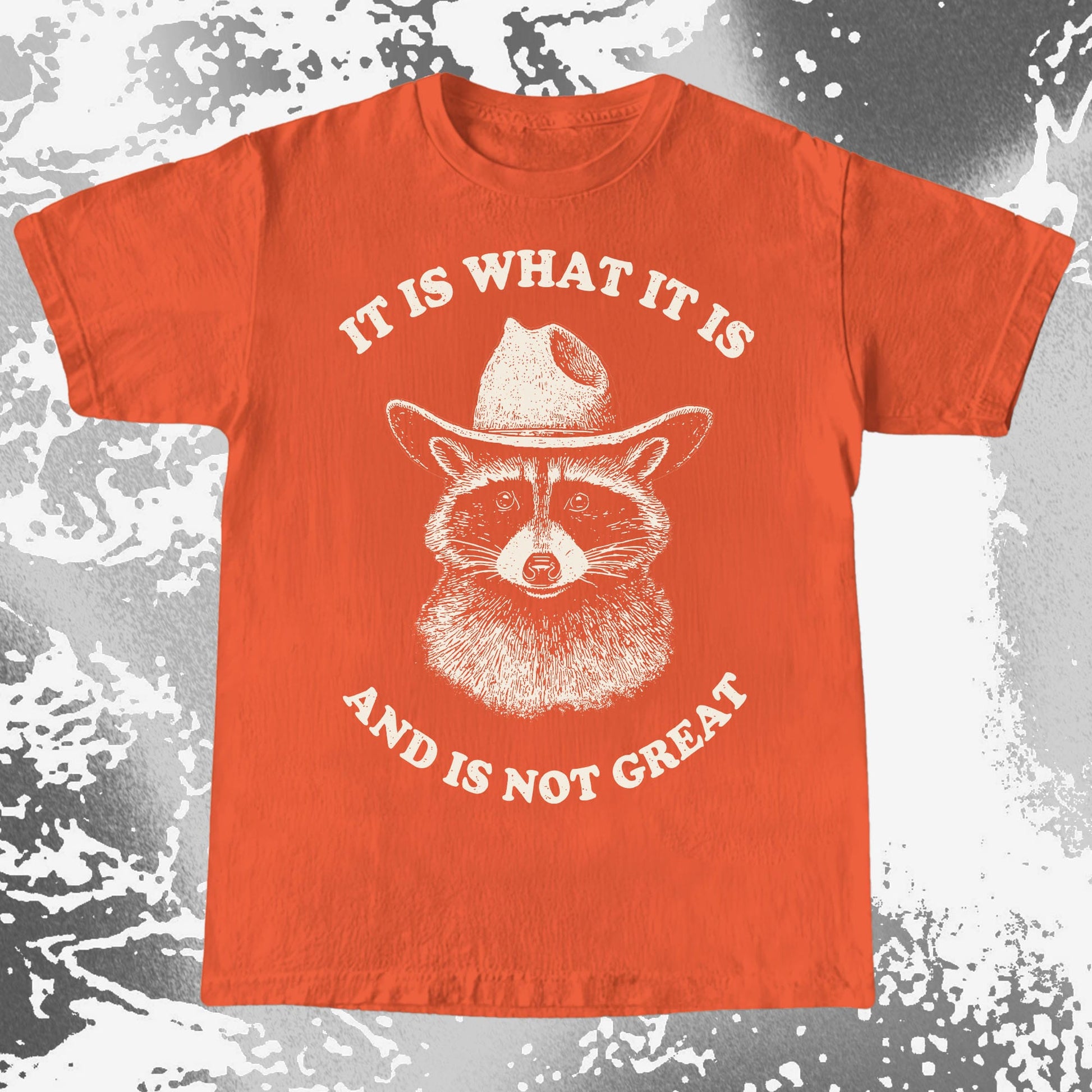 It Is What It Is (And It's Not Great) Raccoon Cowboy Shirt, funny meme tee gift (view 10)