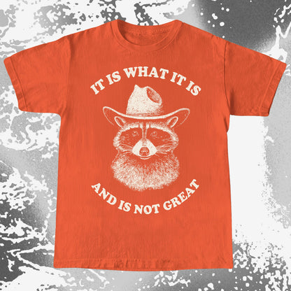 It Is What It Is (And It's Not Great) Raccoon Cowboy Shirt, funny meme tee gift (view 10)