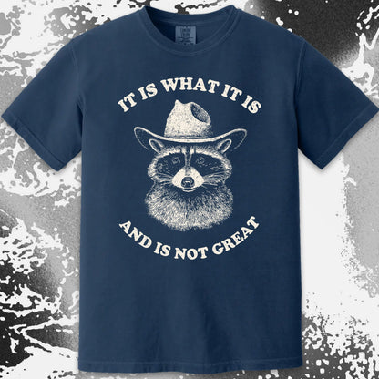 It Is What It Is (And It's Not Great) Raccoon Cowboy Shirt, funny meme tee gift (view 18)
