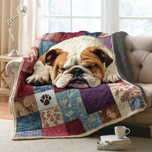 Paws and Wrinkles Haven Quilted Blanket - Baby (30" x 40") - Pack 1