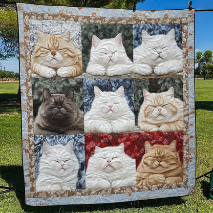 Twin (60'' x 70'')