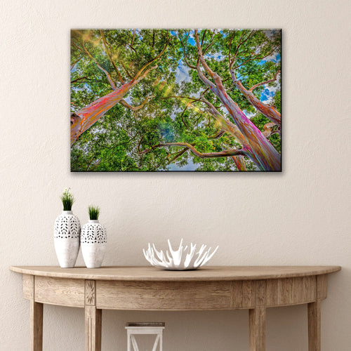 Rainbow Eucalyptus Tree Canvas Wall Art