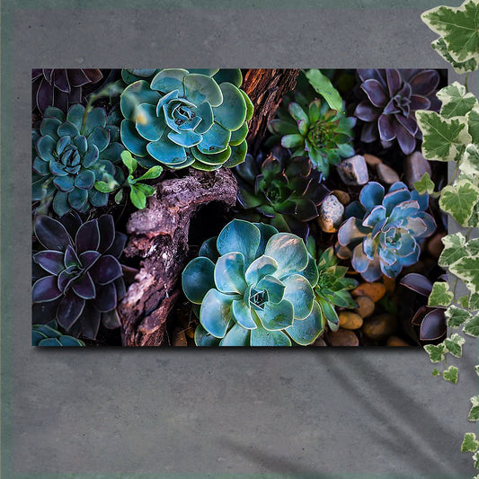 Green And Purple Succulents Canvas Wall Art (Free Shipping)