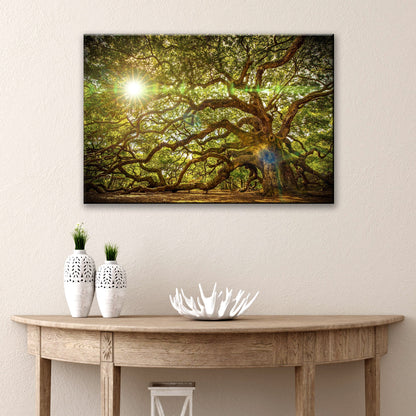 Angel Oak Tree Canvas Wall Art