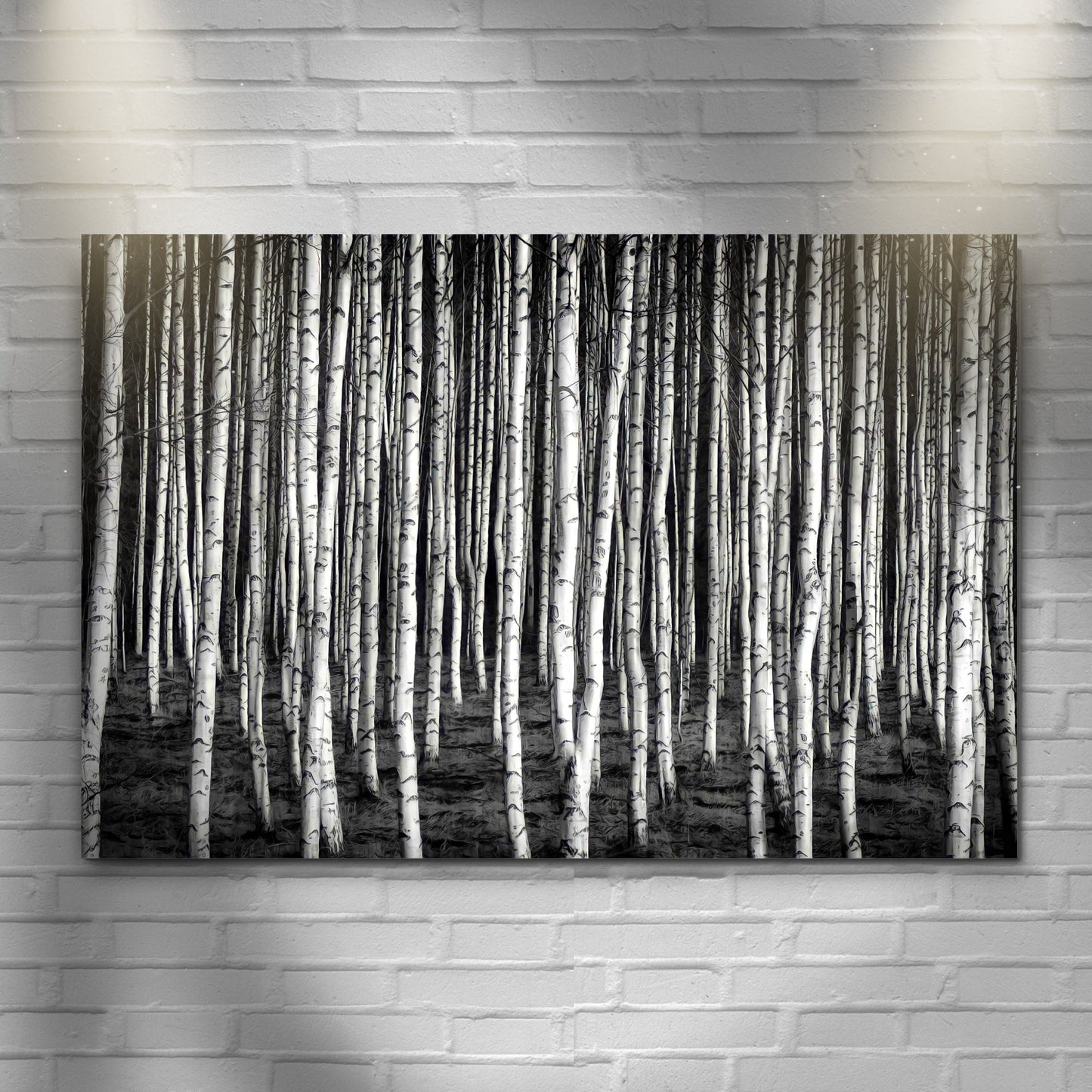 Monochrome Birch Trees Canvas Wall Art
