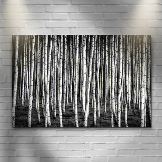 Monochrome Birch Trees Canvas Wall Art
