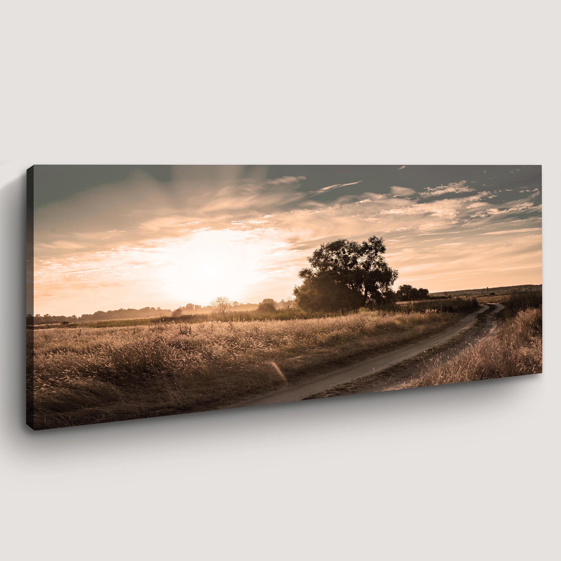 Olive Tree At Dusk Canvas Wall Art (Free Shipping)