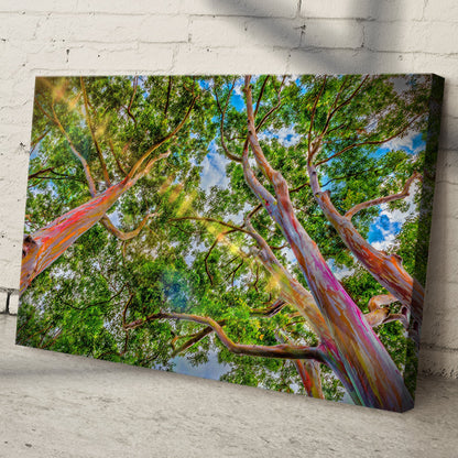 Rainbow Eucalyptus Tree Canvas Wall Art