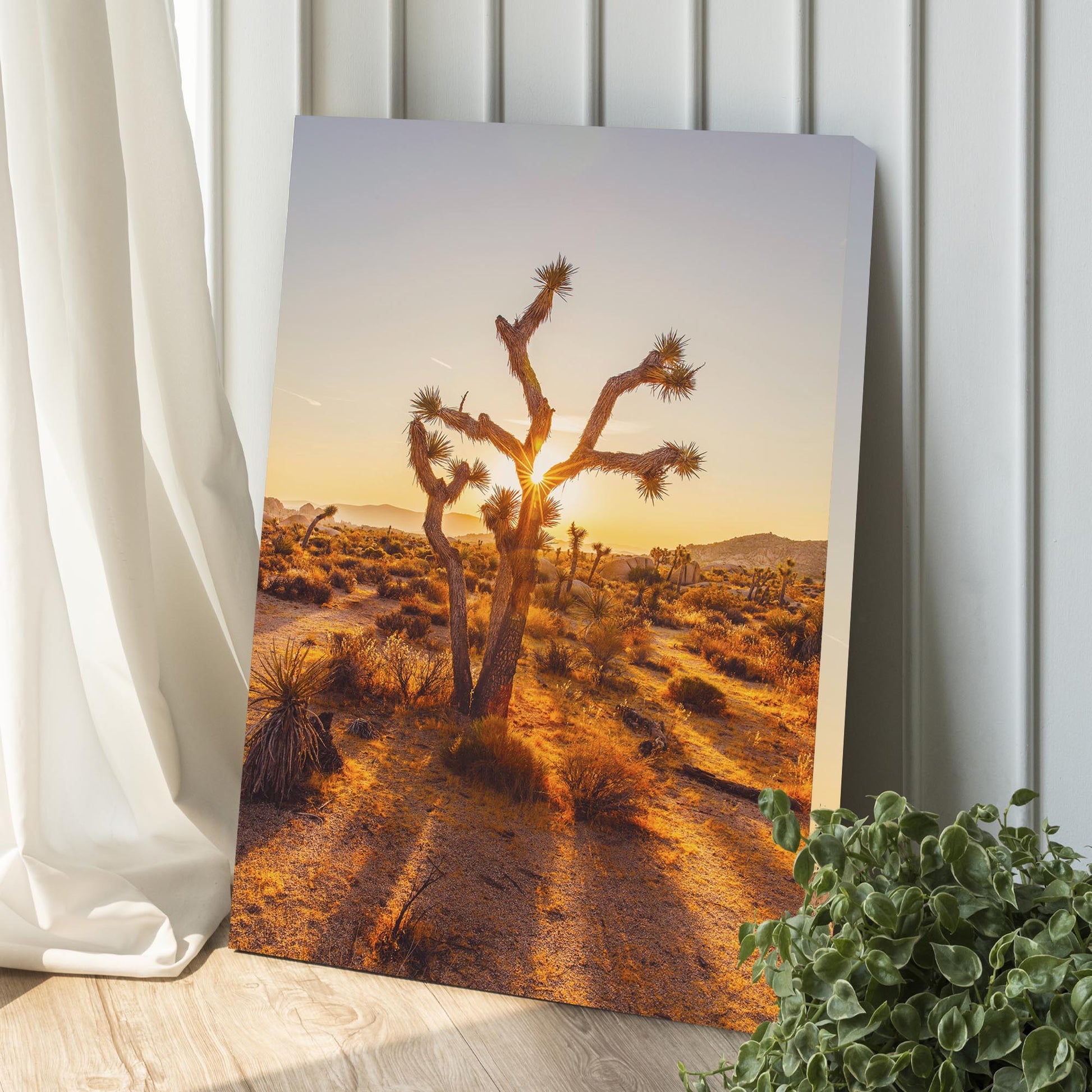 Joshua Tree Of The Mojave And Colorado Deserts Canvas Wall Art