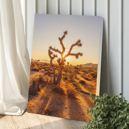 Joshua Tree Of The Mojave And Colorado Deserts Canvas Wall Art