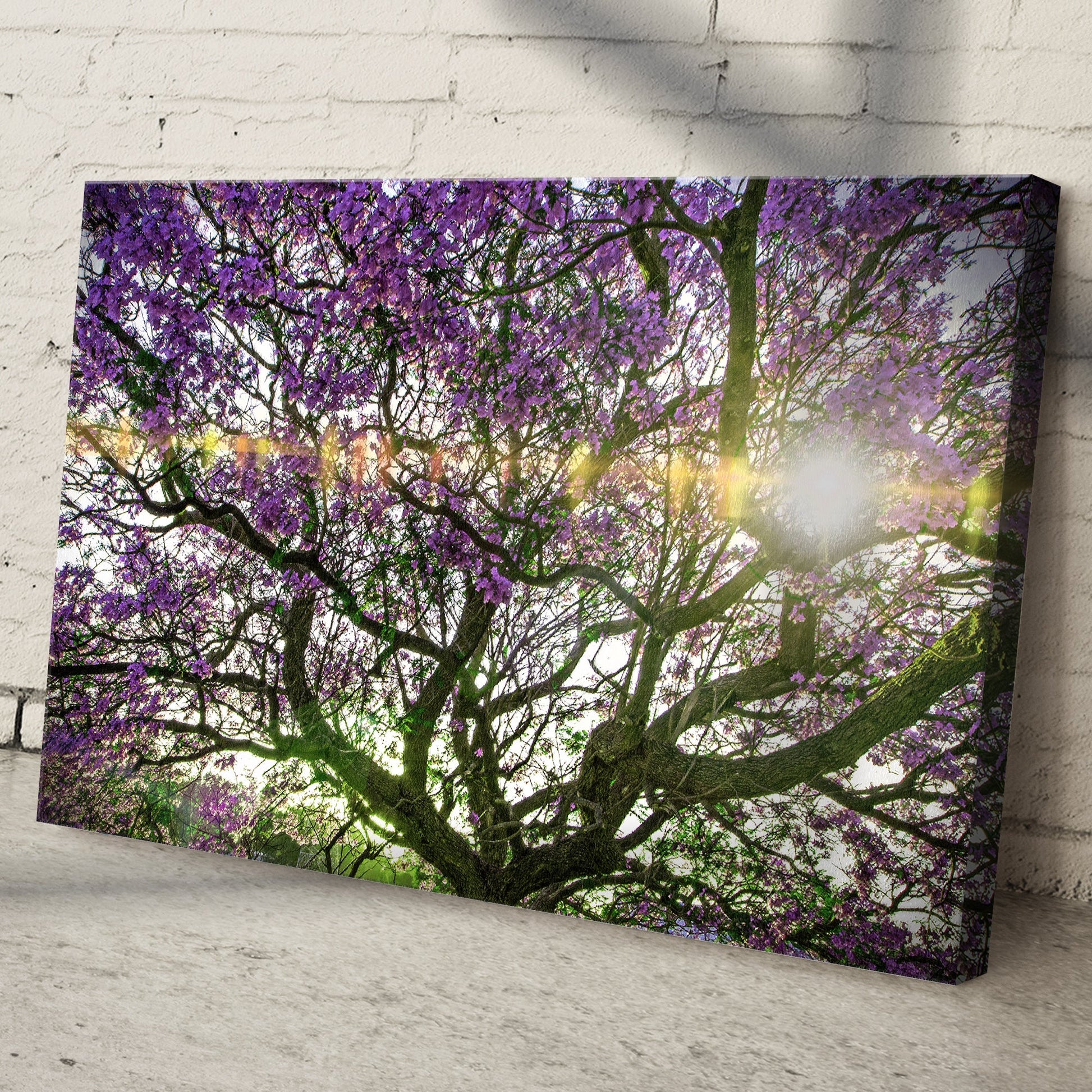 Blue Jacaranda Trees Canvas Wall Art