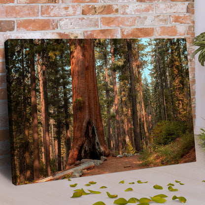 Sequoia Trees Canvas Wall Art