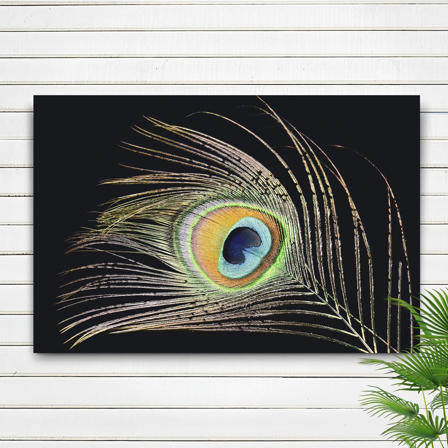 Decor Elements Feather Peacock Canvas Wall Art