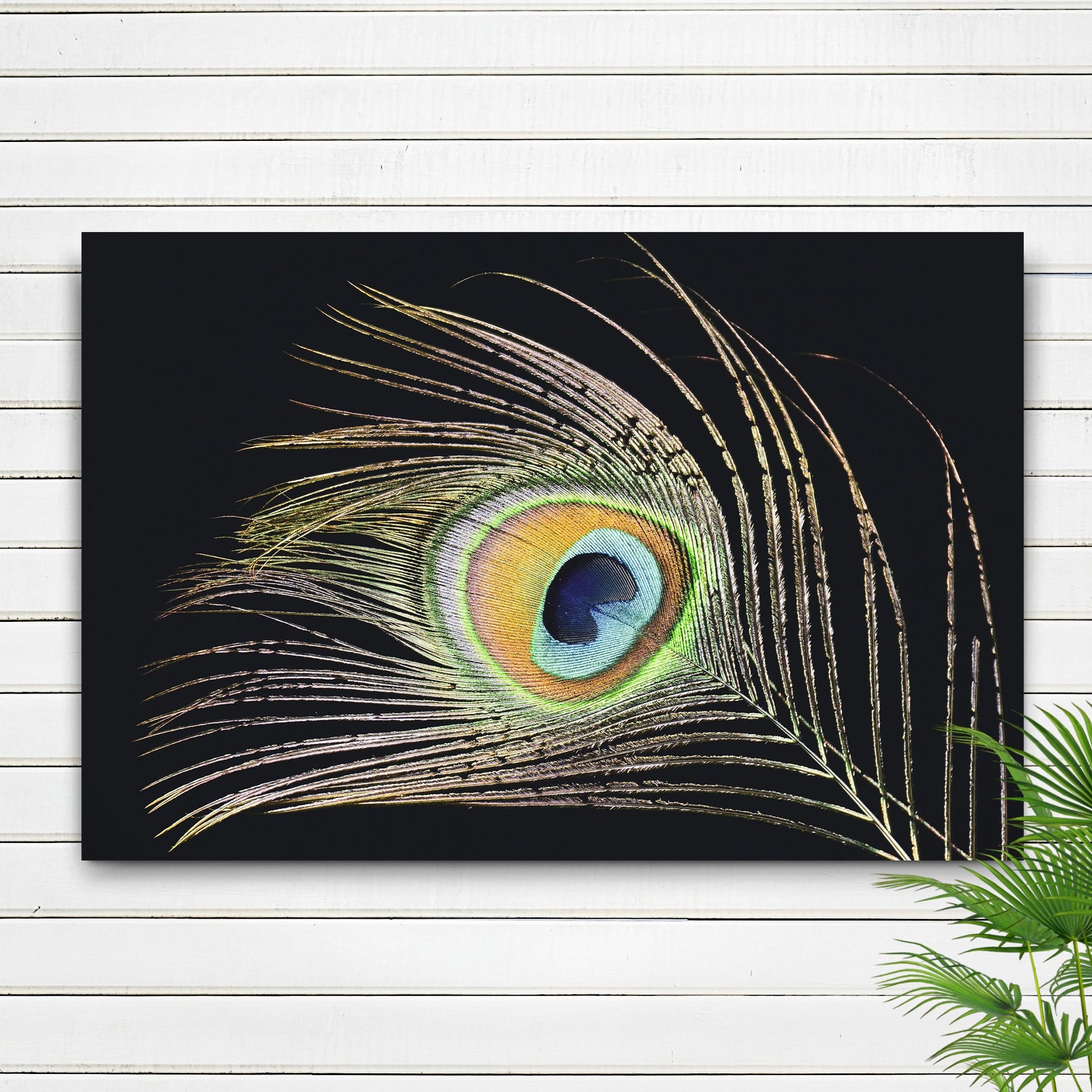 Decor Elements Feather Peacock Canvas Wall Art