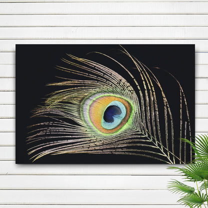 Decor Elements Feather Peacock Canvas Wall Art