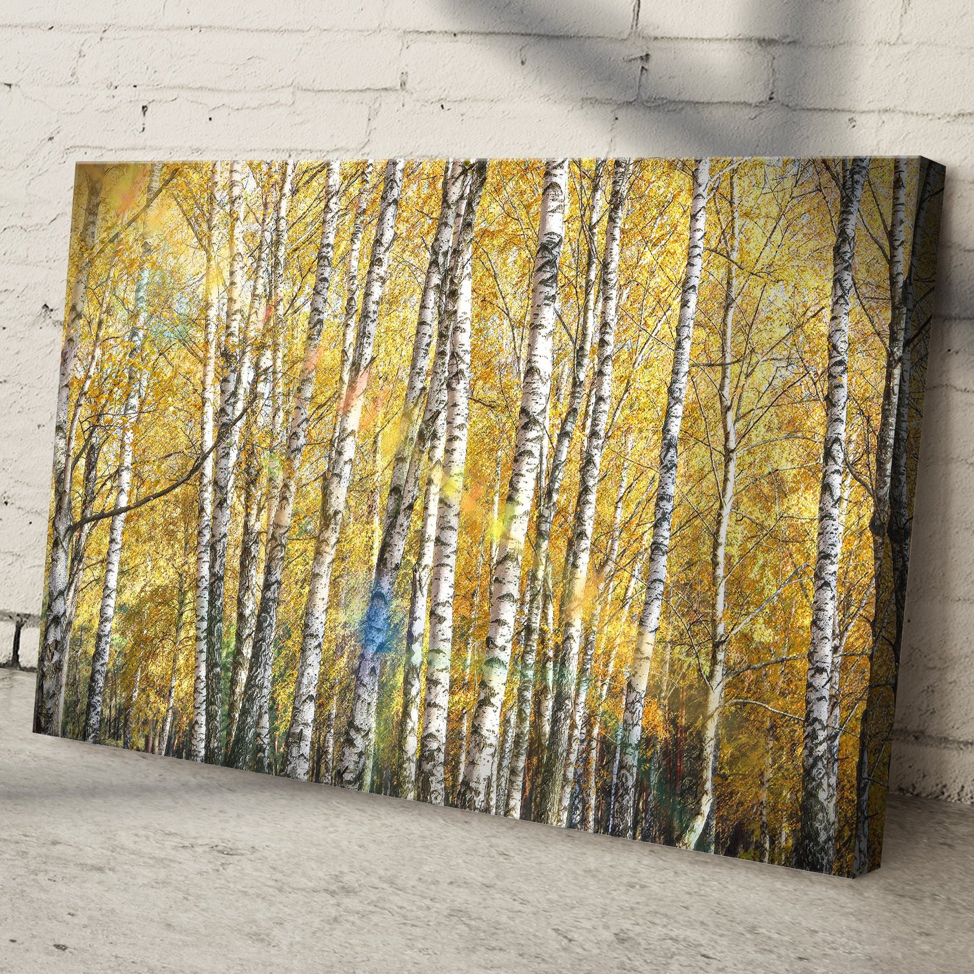 White Birch Trees With Golden Leaves Canvas Wall Art