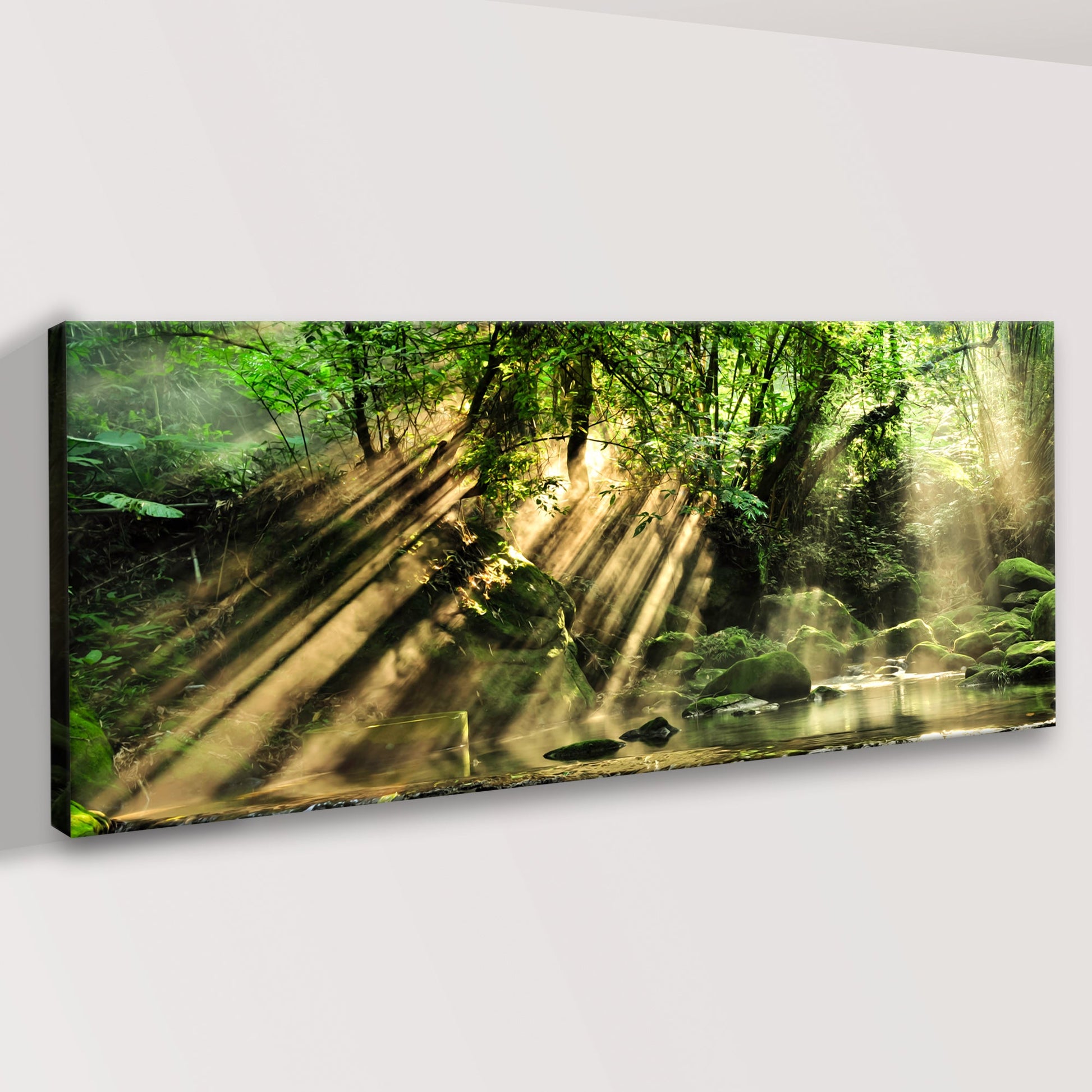 Scenic Forest Canvas Wall Art