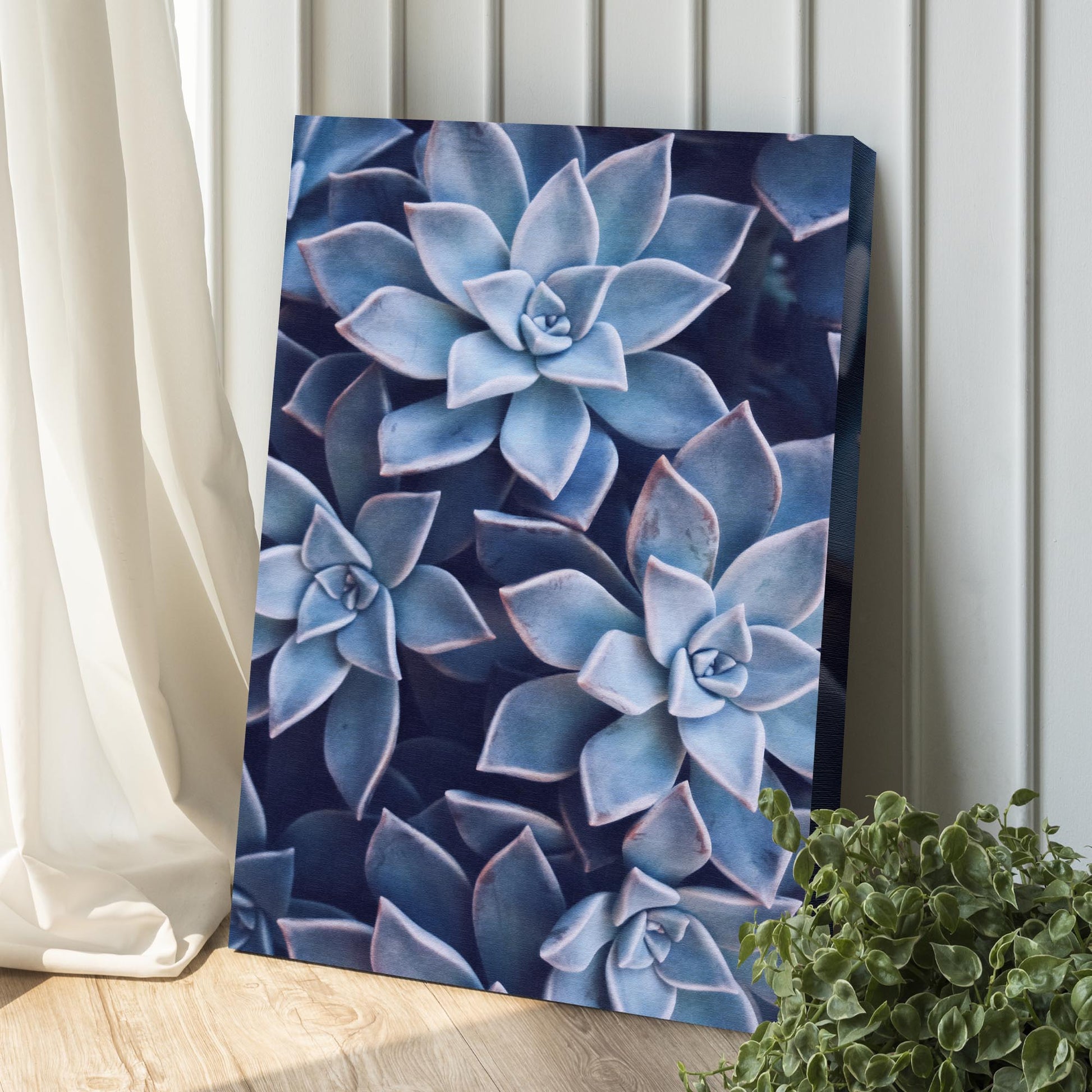 Teal Rose Succulent Canvas Wall Art