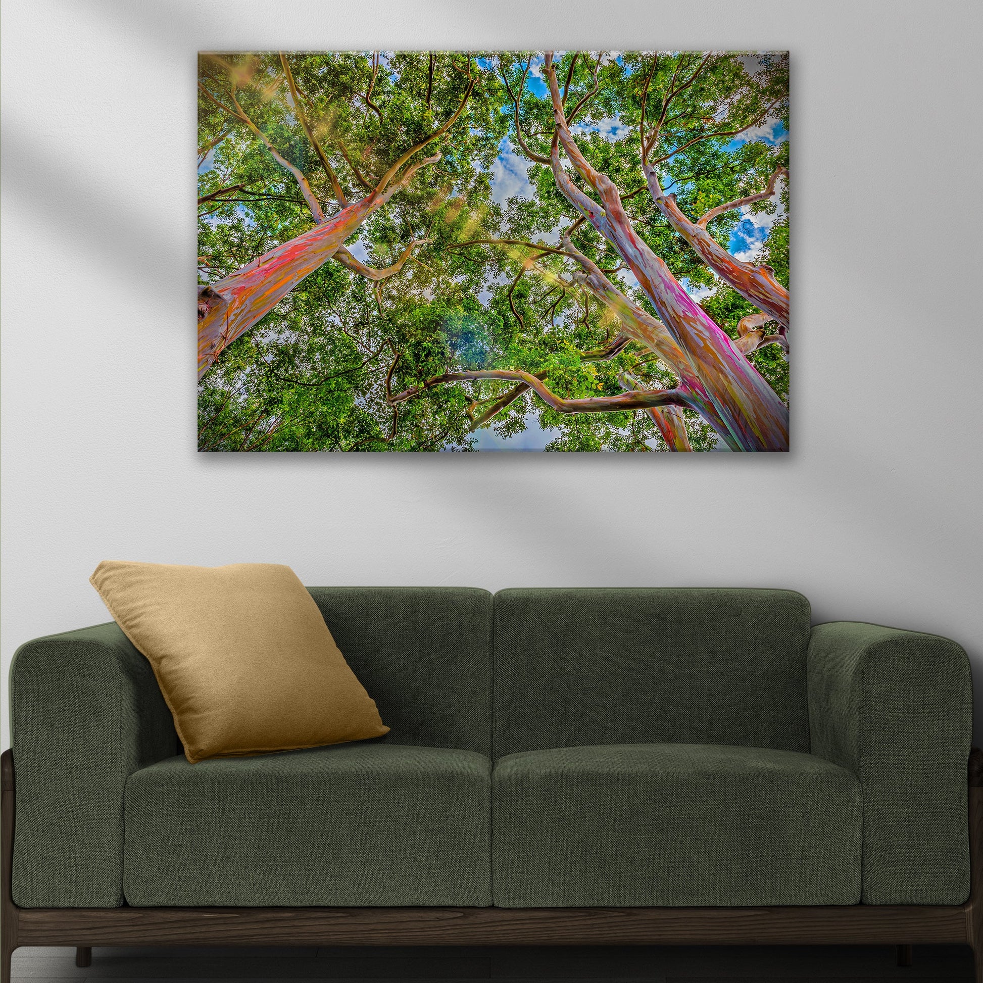 Rainbow Eucalyptus Tree Canvas Wall Art